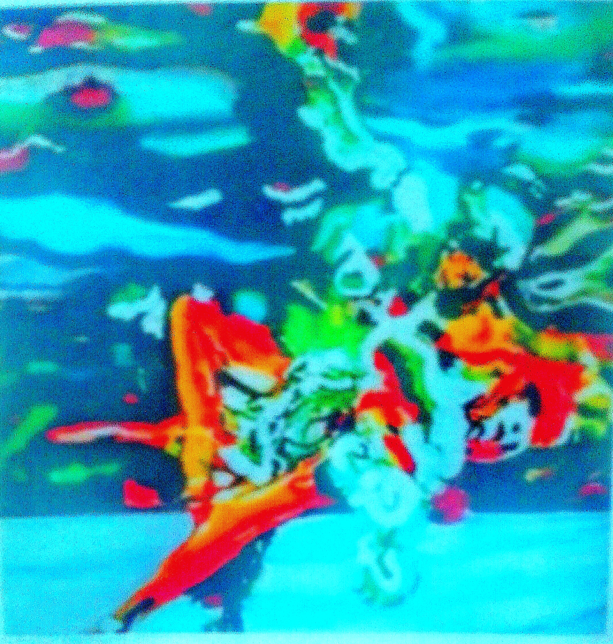 Images