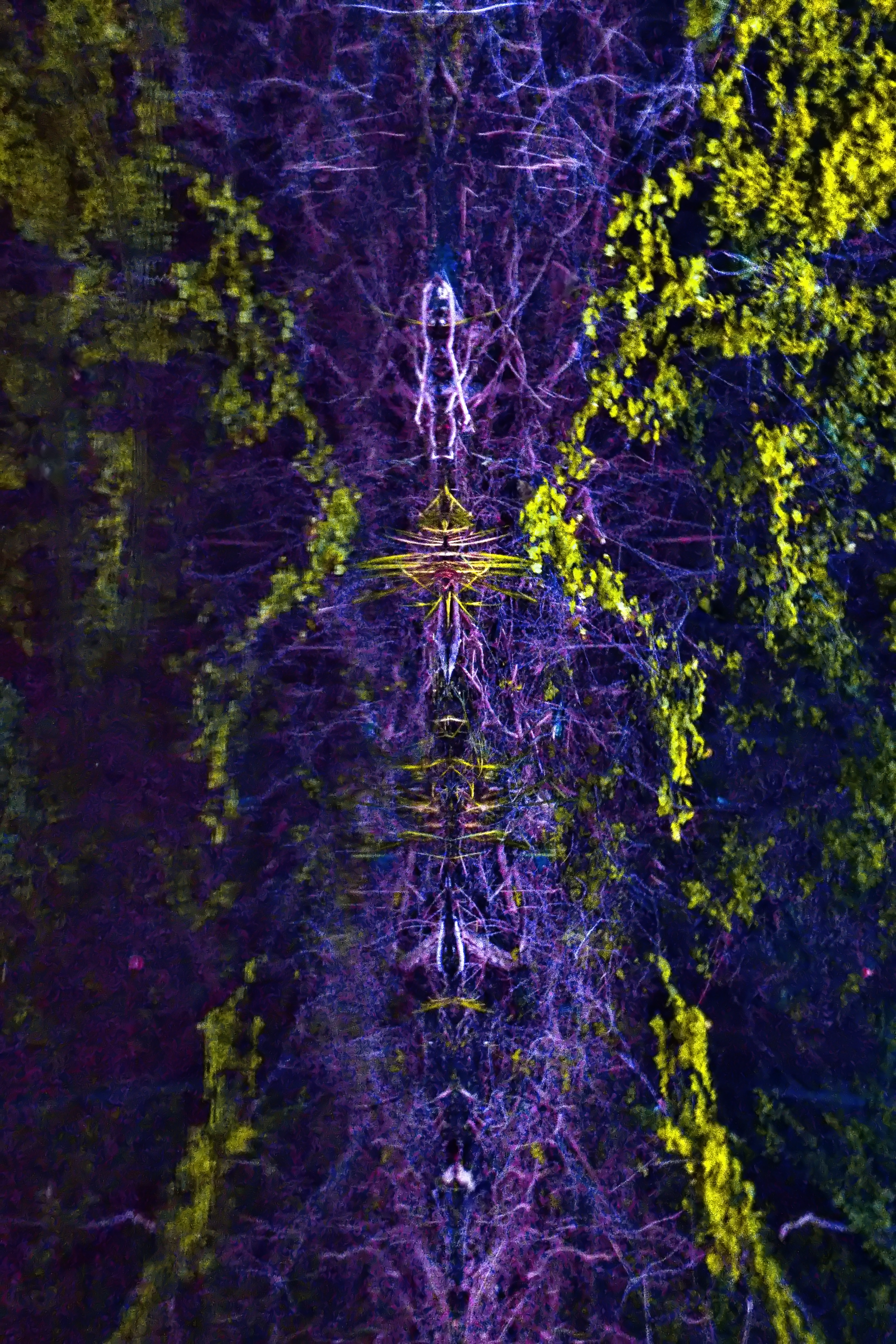 Images