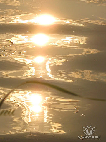 Images