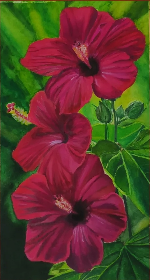 Images